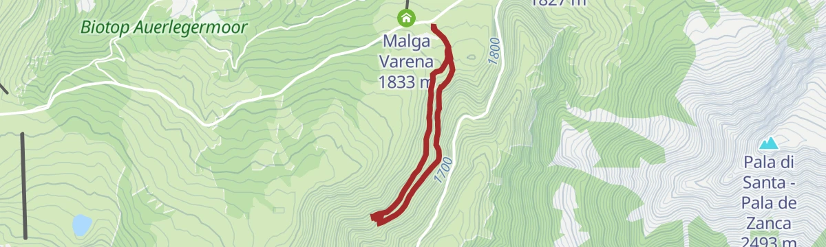 Route map: Route "The Resilient Forest of Storm Vaia"